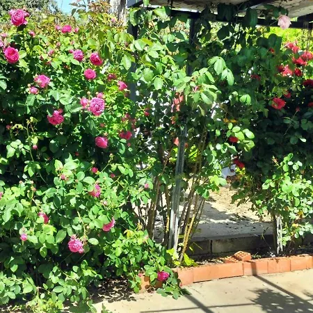 Casa De Campo Con Piscina Y Barbacoa Tatil Evi Toledo