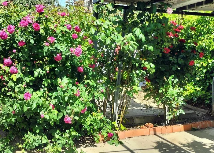 Casa De Campo Con Piscina Y Barbacoa Tatil Evi Toledo